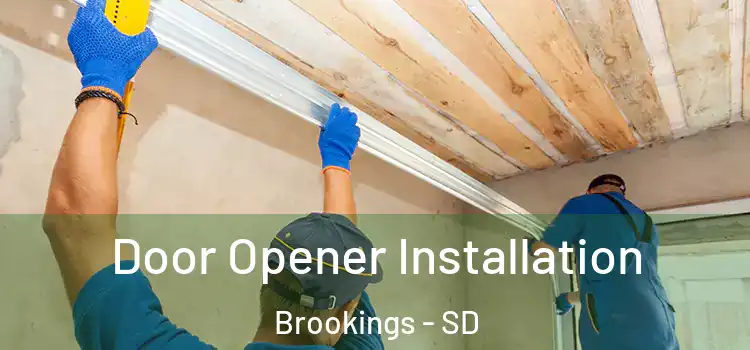  Door Opener Installation Brookings - SD