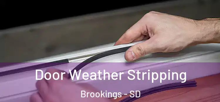 Door Weather Stripping Brookings - SD