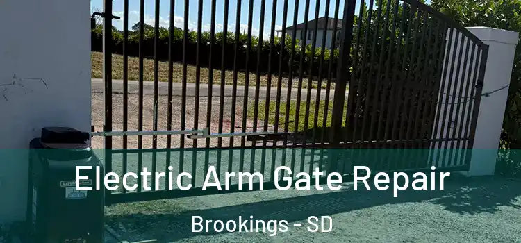 Electric Arm Gate Repair Brookings - SD