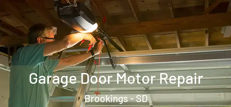  Garage Door Motor Repair Brookings - SD