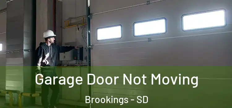  Garage Door Not Moving Brookings - SD
