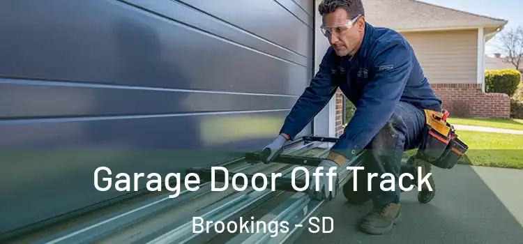  Garage Door Off Track Brookings - SD