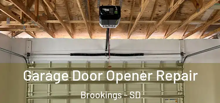  Garage Door Opener Repair Brookings - SD