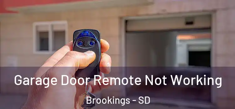  Garage Door Remote Not Working Brookings - SD