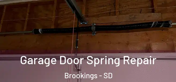  Garage Door Spring Repair Brookings - SD