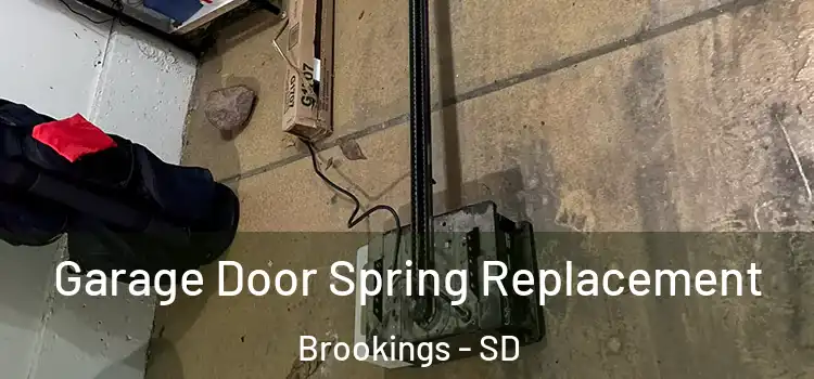  Garage Door Spring Replacement Brookings - SD