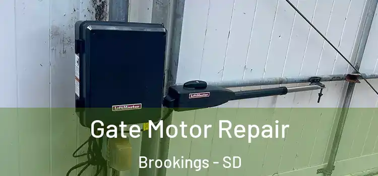 Gate Motor Repair Brookings - SD