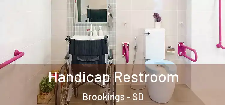  Handicap Restroom Brookings - SD