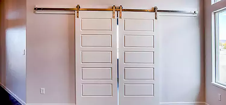 Glass Barn Door with Installation Hardware Kit Brookings