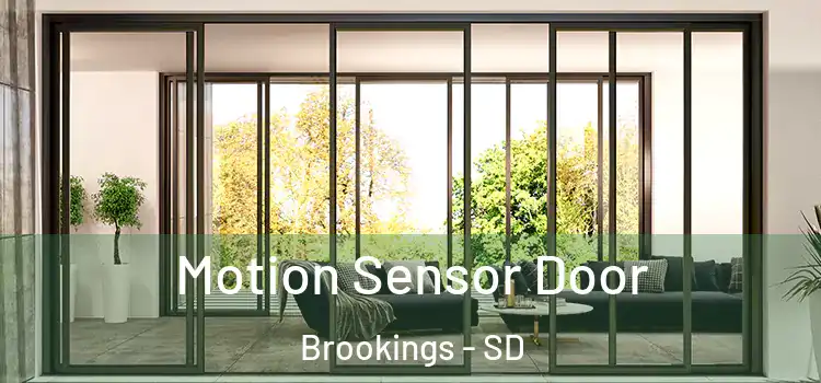  Motion Sensor Door Brookings - SD