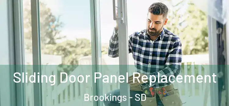  Sliding Door Panel Replacement Brookings - SD