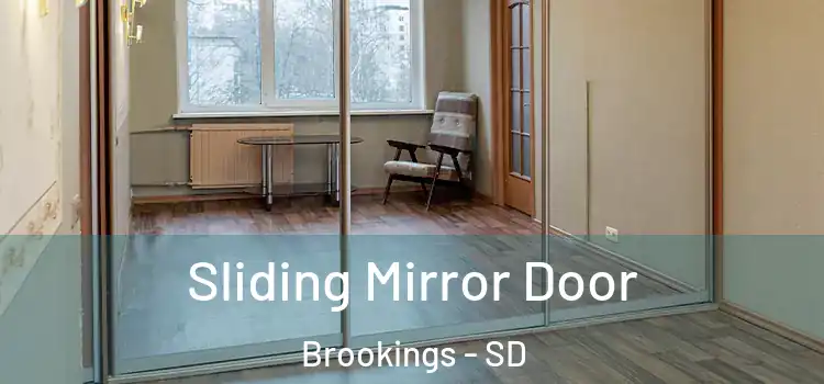  Sliding Mirror Door Brookings - SD